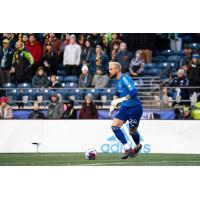 Seattle Sounders FC's Stefan Frei on the field