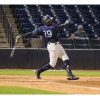 Tampa Tarpons' Felix Negueis at bat