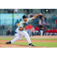 Columbia Fireflies' Ryan Ramsey in action