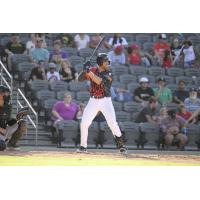 Fayetteville Woodpeckers at bat