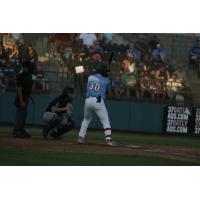 Tri-City Dust Devils infielder Matt Coutney