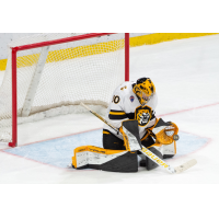 Goaltender Matt Vernon with Colorado College Athletics