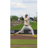 Wisconsin Timber Rattlers pitcher Edwin Jimenez