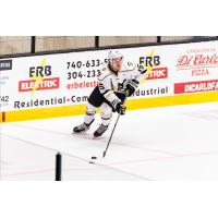 Wheeling Nailers forward Bobby Hampton