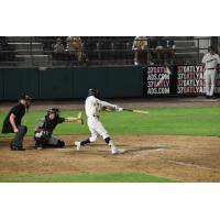 Tri-City Dust Devils at bat