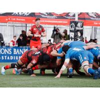 Utah Warriors scrum