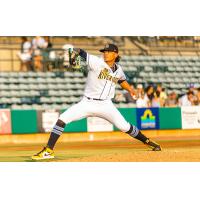 Charleston RiverDogs in action