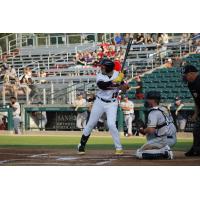 Fargo-Moorhead RedHawks' Manuel Boscan at bat