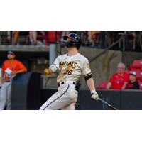 Carolina Mudcats' Luke Adams at bat