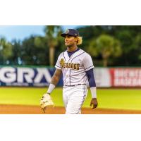 Charleston RiverDogs on game night