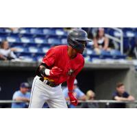 Pensacola Blue Wahoos on game night