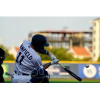 Pensacola Blue Wahoos' Will Banfield at bat