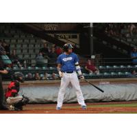 Evansville Otters at bat