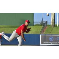 Clearwater Threshers pitcher Giussepe Velásquez