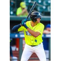 Columbia Fireflies' Trevor Werner At Bat