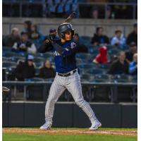 Somerset Patriots' Eduardo Torrealba at bat