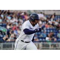 Pensacola Blue Wahoos in action