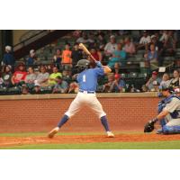 Evansville Otters' Ethan Skender at bat