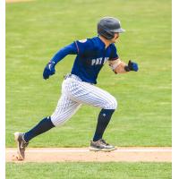 Somerset Patriots' Aaron Palensky in action