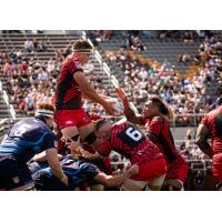 Utah Warriors in action