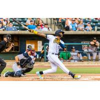 Charleston RiverDogs first baseman Xavier Isaac