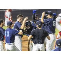 Tampa Tarpons celebrate win