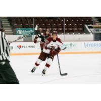 Peterborough Petes right wing Connor Lockhart