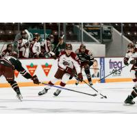 Peterborough Petes scrimmage