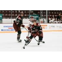 Peterborough Petes centre Chase Lefebvre