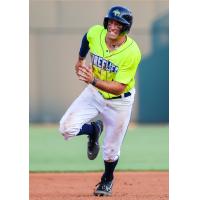 COLUMBIA FIREFLIES' Trevor Werner in action