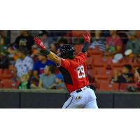 Carolina Mudcats' Luis Castillo on game night