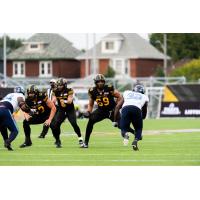 Hamilton Tiger-Cats Sign offensive lineman Jordan Murray