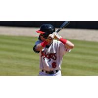 Carolina Mudcats shortstop Dylan O'Rae