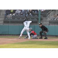 Tri-City Dust Devils' Alexander Ramirez at bat