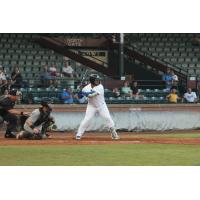 Evansville Otters at bat