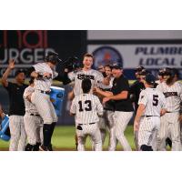 Somerset Patriots' T.J. Rumfield celebrates win