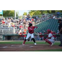 Fargo-Moorhead RedHawks' John Silviano at bat