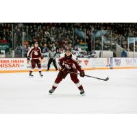 Peterborough Petes' Jonathan Melee on the ice