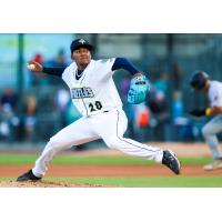 COLUMBIA FIREFLIES' Emmanuel Reyes on the mound