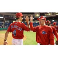 Clearwater Threshers exchange congratulations