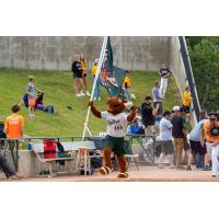 Missoula PaddleHeads' mascot, Paxson The PaddleHead