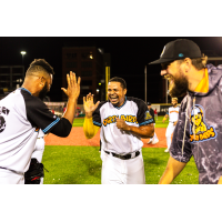 Charleston Dirty Birds exchange high fives