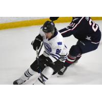 Wenatchee Wild's Kenta Isogai in action