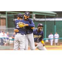 Charleston RiverDogs exchange congratulations following a win in title series