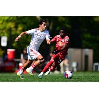 Chicago Fire FC II vs. New York Red Bulls II