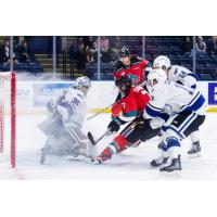 Kelowna Rockets' Max Graham in action