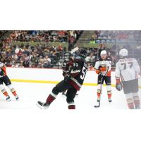 Arizona Coyotes' Michael Carcone on the ice