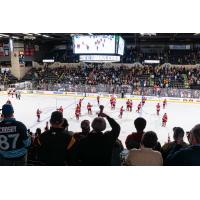 A crowd watches the Wheeling Nailers at WesBanco Arena