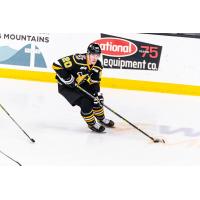 Wheeling Nailers forward Justin Addamo