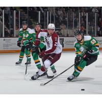 Peterborough Petes' Samuel Mayer and London Knights' Samuel Mayer in action